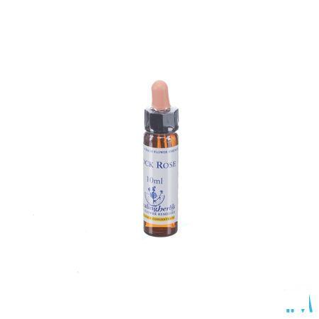 Healing Herbs Rock Rose 10 ml