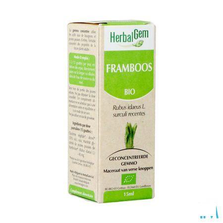 Herbalgem Framboisier Macerat 15 ml  -  Herbalgem