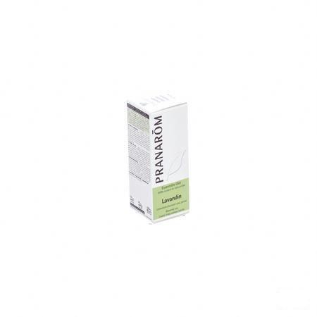 Lavandin Grosso Huile Essentielle 10 ml  -  Pranarom