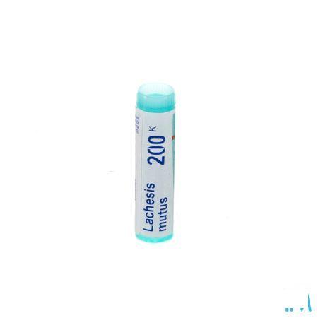 Lachesis Mutus 9CH Gl  -  Boiron