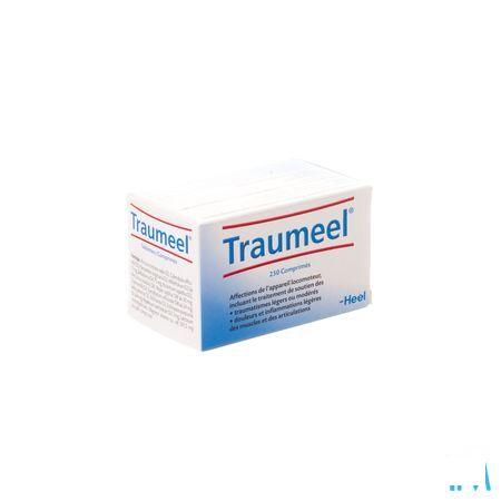 Heel Traumeel 250 Tabl  -  Heel