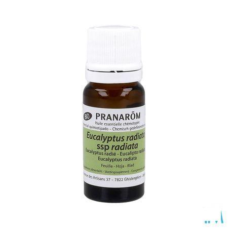 Eucalyptus Radie Bio Essentiele Olie 10 ml  -  Pranarom