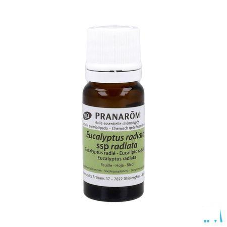 Eucalyptus Radiata Bio Huile Essentielle 10 ml  -  Pranarom