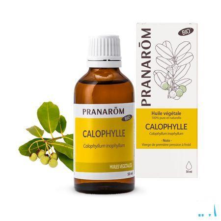 Calophyllus Bio Plantaardige Olie 50 ml  -  Pranarom