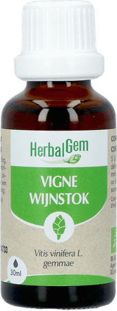 Herbalgem Wijnstok Maceraat Bio 30 ml