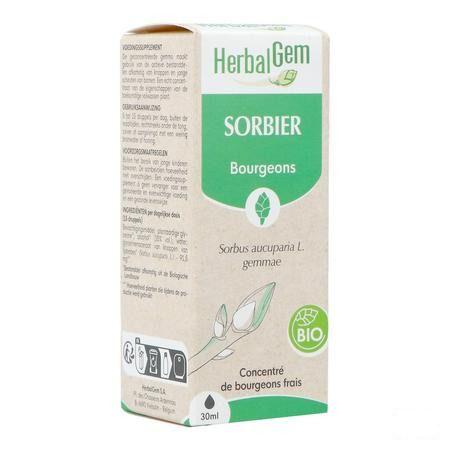 Herbalgem Lijsterbes Bio 30 ml