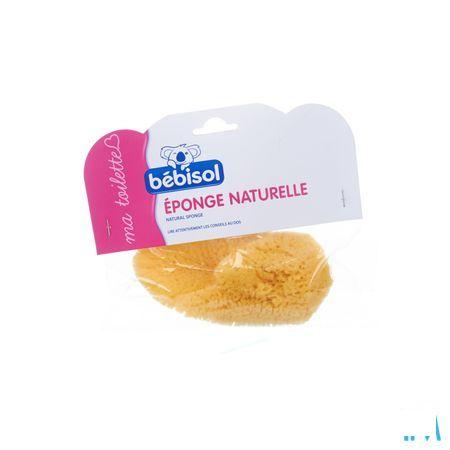Bebisol Nagelschaartje Recht  -  Infinity Pharma