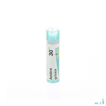 Ambra Grisea 30CH Gr 4g  -  Boiron