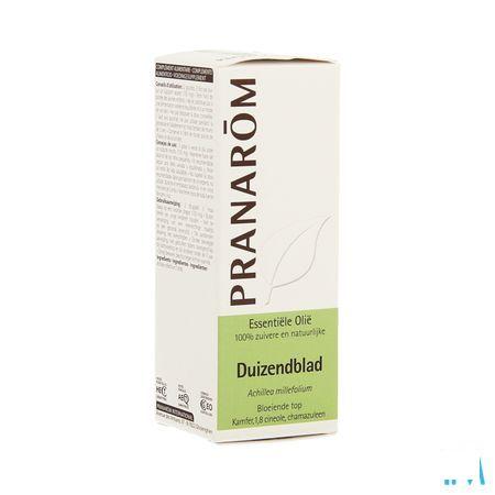 Duizendblad Essentiele Olie 5 ml  -  Pranarom