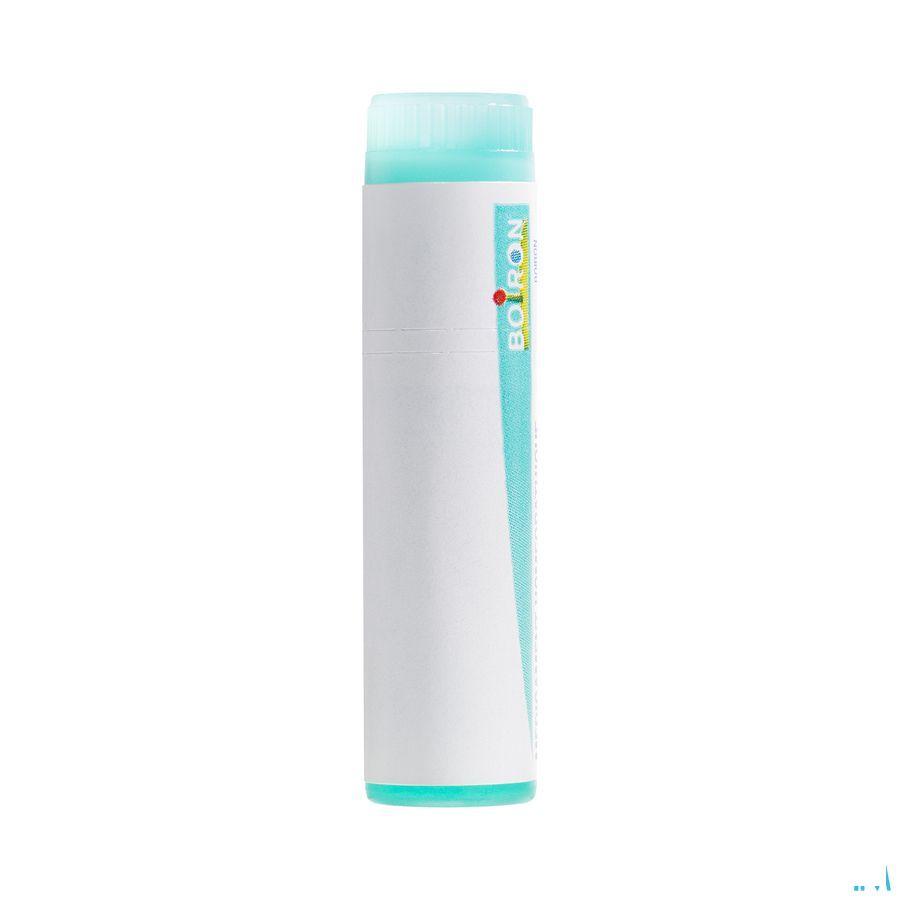 Lycopodium Clavatum 200K Gl  -  Boiron