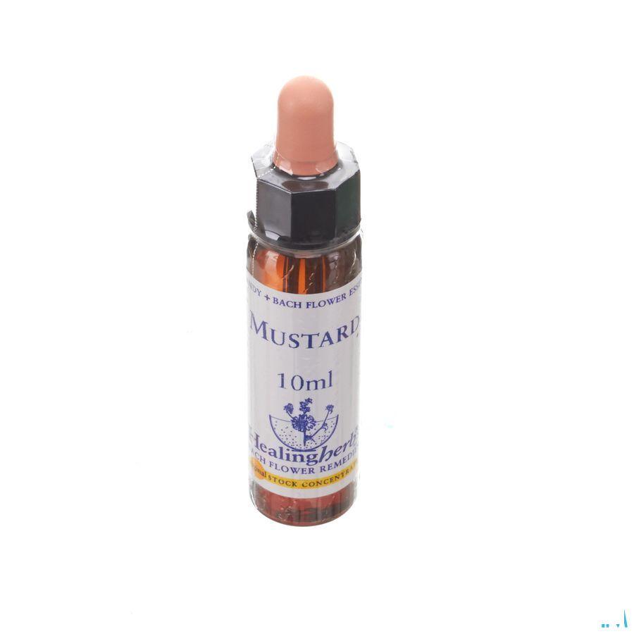 Healing Herbs Mustard 10 ml