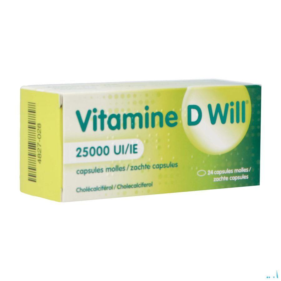 Vitamine D Will 25000Ui Caps Molle 24