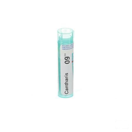 Cantharis 9CH Gr 4g  -  Boiron