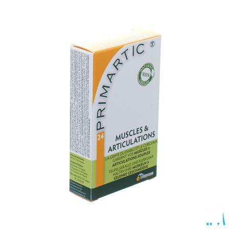 Primartic Capsule 24 