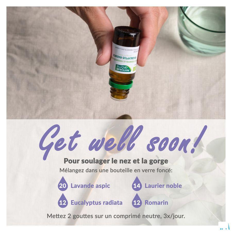 Phytosun Spijklavendel Fr-bio-01 Be2 5 ml