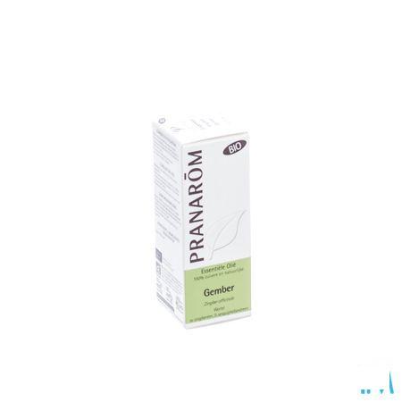 Gember Bio Essentiele Olie 5 ml  -  Pranarom