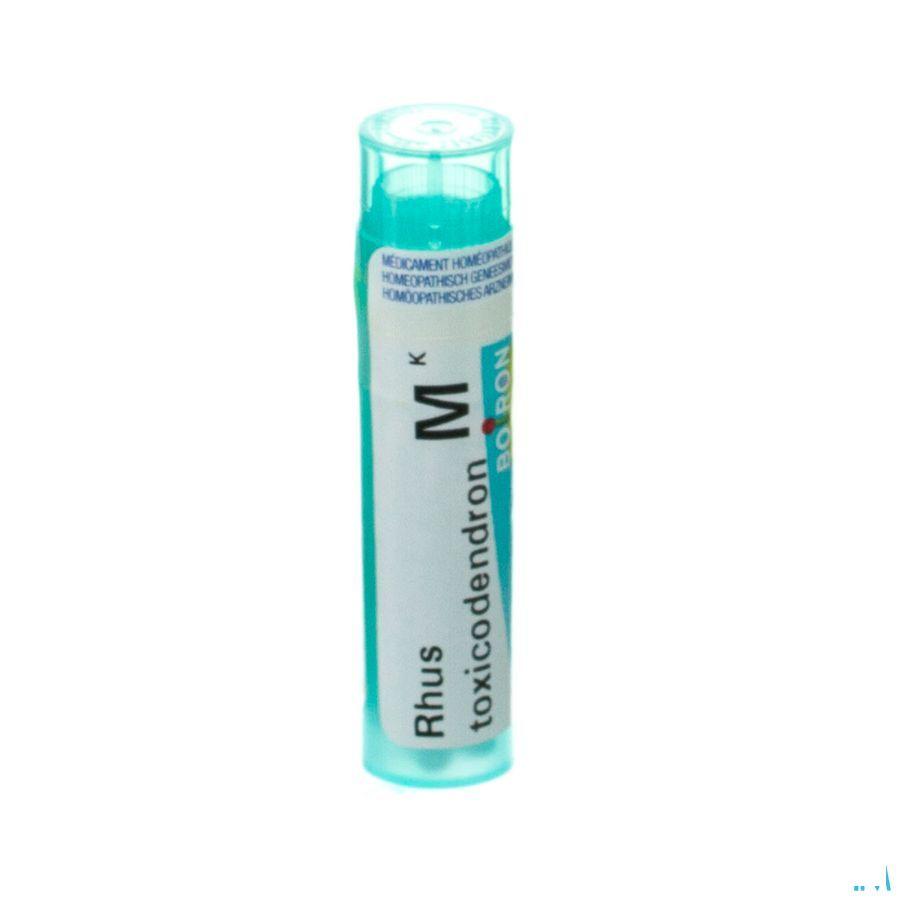 Rhus Toxicodendron MK Gr 4g  -  Boiron