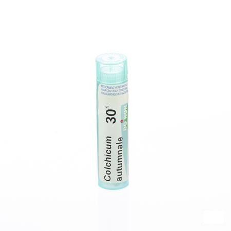 Colchicum Autumnale 30K Gr 4g  -  Boiron