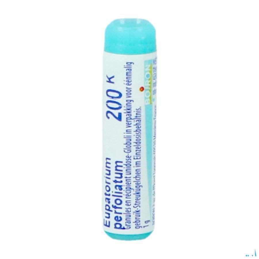 Eupatorium Perfoliatum 200K Gl  -  Boiron