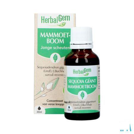 Herbalgem Mammoetboom Bio 30 ml