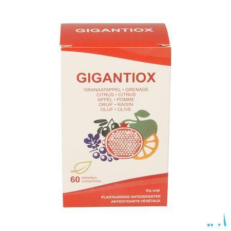 Soria Gigantiox 60 Comprimes  -  Soria Bel