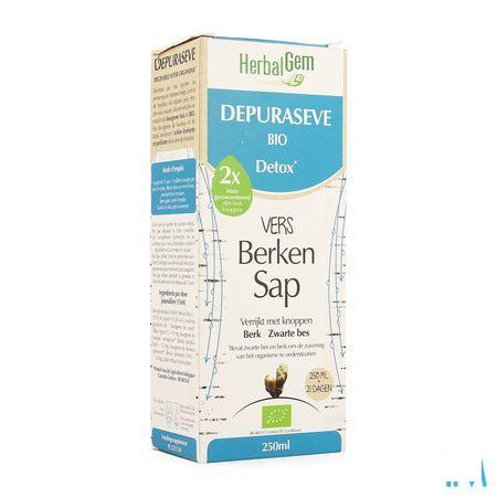 Herbalgem Depuraseve Bio Detox 250 ml  -  Herbalgem