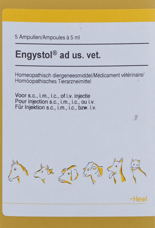 Engystol N Ad Us.Vet Amp 5X5,0 ml
