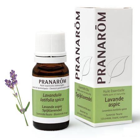 Spijk Lavendel Essentiele Olie 10 ml  -  Pranarom