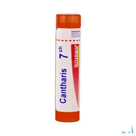 Cantharis 7CH Gr 4g  -  Boiron