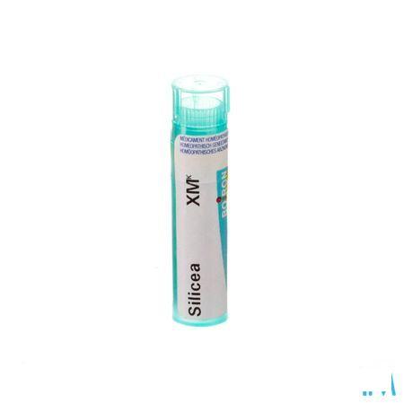 Silicea XMK Gr 4g  -  Boiron
