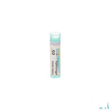 Valeriana Officinalis 5CH Gr 4g  -  Boiron