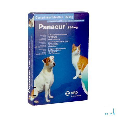 Panacur Tabletten Vet 10 X 250 mg 