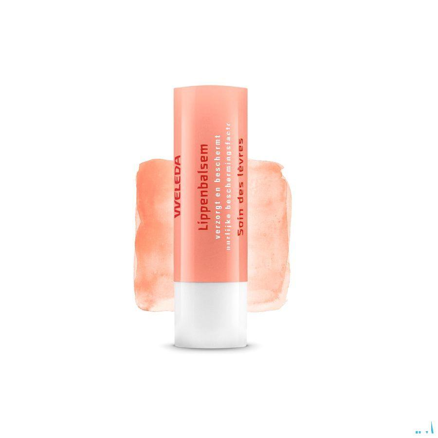 Weleda Lippenbalsem Everon Stick 4g  -  Weleda