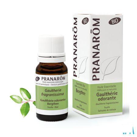 Gaultherie Odorante Bio Essentiele Olie 10 ml  -  Pranarom