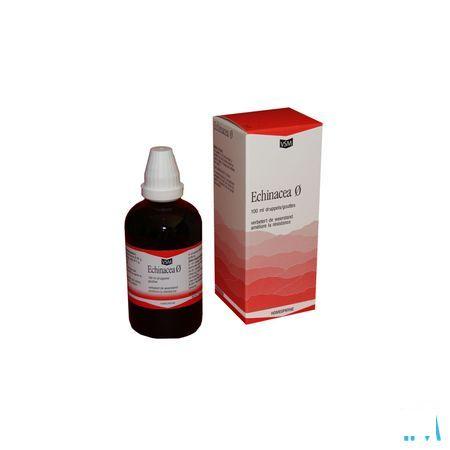 Echinacea Tm Vsm 100 ml  -  VSM