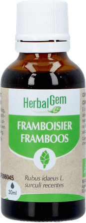 Herbalgem Frambozenstruik Bio 30 ml