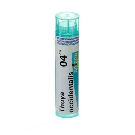 Thuya Occidentalis 4ch Gr 4g  -  Boiron