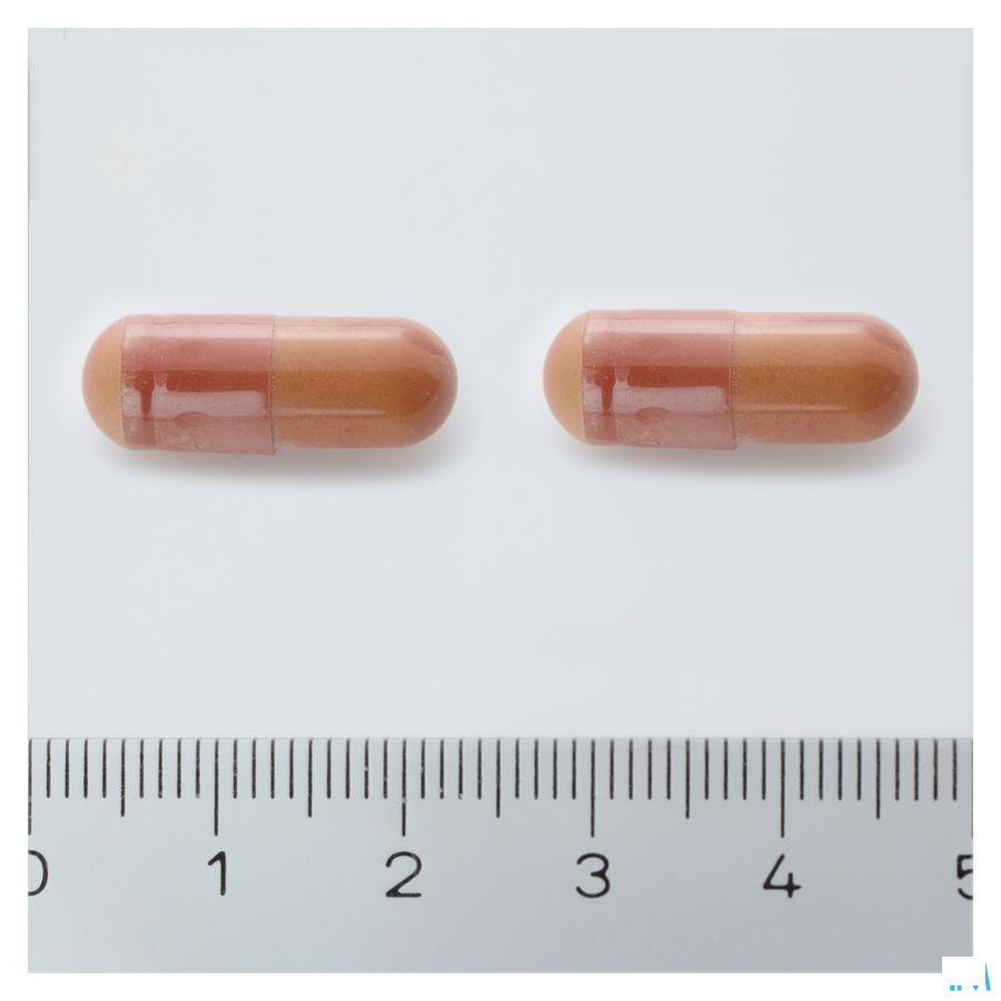Alline Procap Capsule 30  -  Trenker