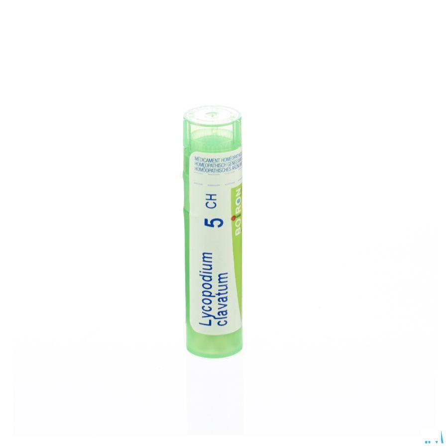 Lycopodium Clavatum 5CH Gr 4g  -  Boiron