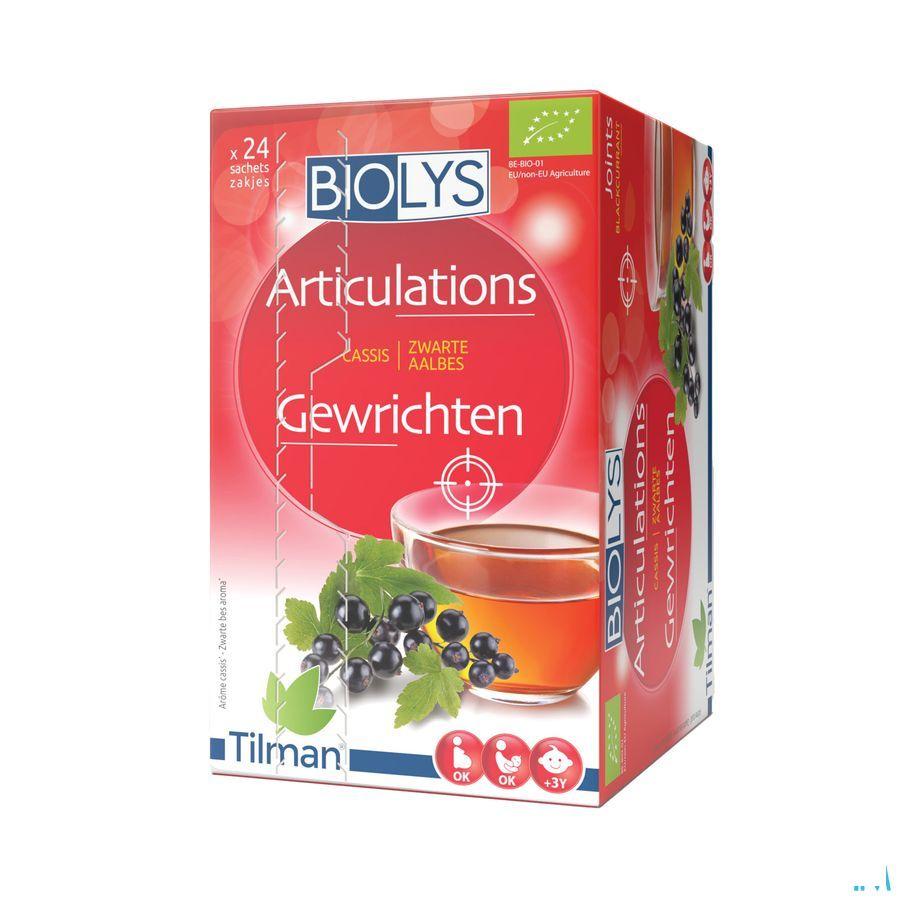 Biolys Cassis Sachets 24  -  Tilman