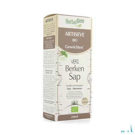 Herbalgem Artiseve Bio Fl 250 ml  -  Herbalgem