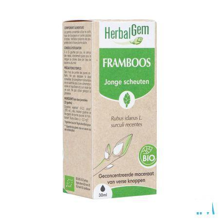 Herbalgem Frambois Bio 30 ml