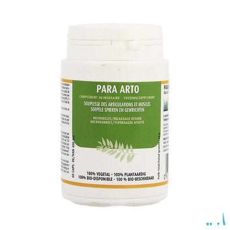 Para Arto Gel 60