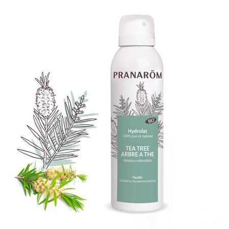 Hydrolat Tea Tree Bio 150  ml Pranarom  -  Pranarom