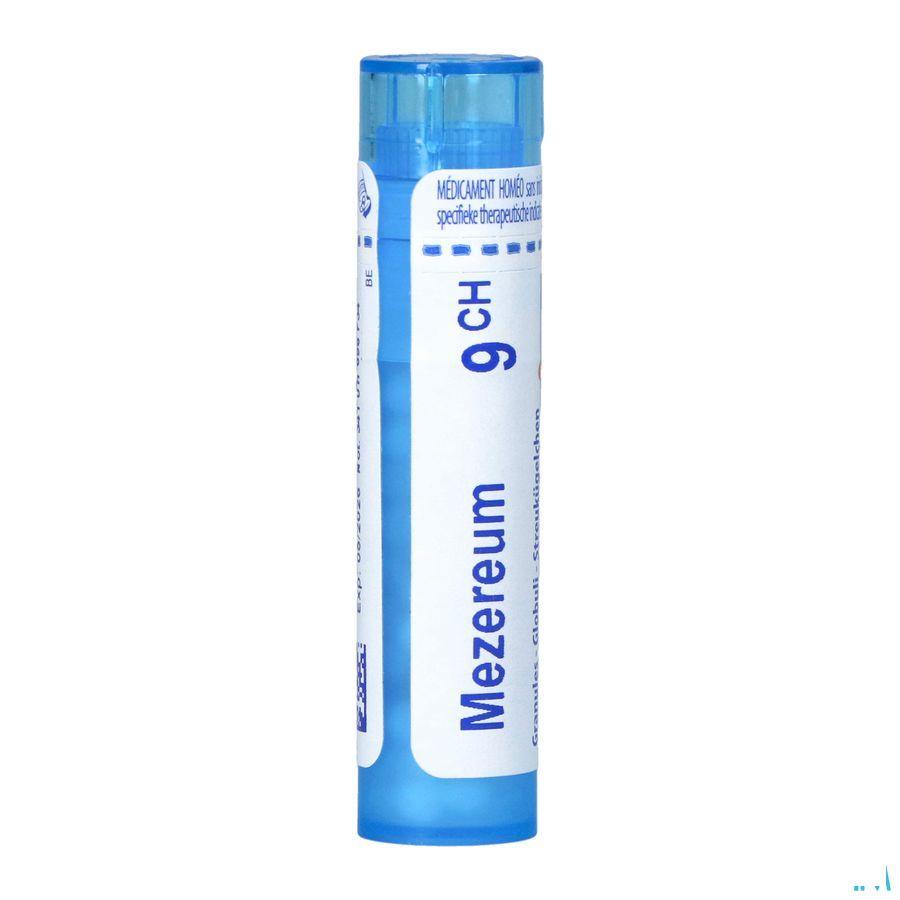 Mezereum 9CH Gr 4g  -  Boiron