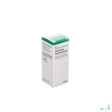 Plantago-homaccord Druppels 30 ml  -  Heel