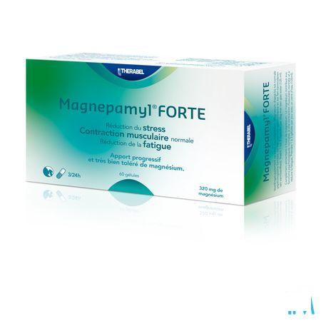 Magnepamyl Forte Capsule 60