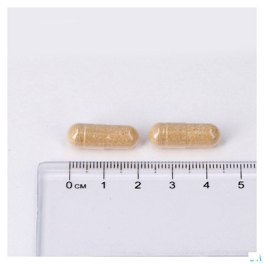 Lepivits Zenivits Caps 60  -  Lepivits