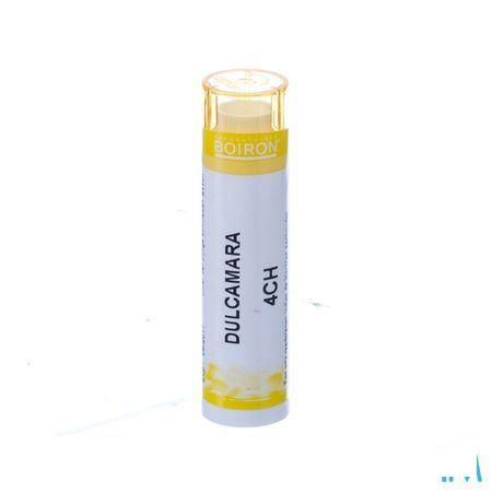 Dulcamara 4ch Gr  -  Boiron
