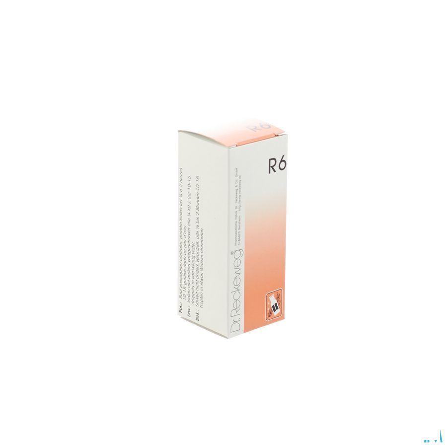 Reckeweg Dr. R 6 Druppels 50 ml  -  Nut-Hom-Phyt